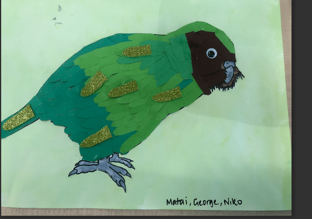 kakapo art – Niko @ Rāwhiti School